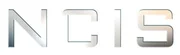 (20. Staffel) - Navy CIS - Logo