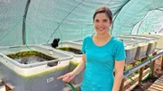 In diesem Becken entwickeln sich aus dem Moorfrosch-Laich kleine Kaulquappen und schließlich kleine Frösche.
