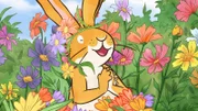 Der Frühling ist endlich da und die Sonne scheint wärmend auf die bunte Wiese. Das müssen der kleine Hase und die kleine Feldmaus natürlich ausnutzen und sofort die erste Runde Verstecken des Frühlings spielen.