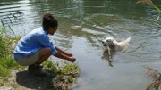 Golden Retriever-Rüde Mexx liebt Wasser – noch toller findet er es, dass Pia ihm einen Stock wirft, den er ihr gern wiederbringt.