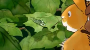 Der kleine Hase und die kleine Feldmaus spielen auf der Wiese Verstecken als sie eine ungewöhnliche Entdeckung machen. Auf einem Busch sitzt ein merkwürdiges, kleines grünes Wesen.