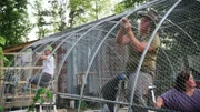 Misty Raney (m.) works on the wire.