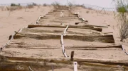Konnte diese Straße nur aus Holz in der Wüste Arizonas überhaupt nutzbar sein oder war ihr Bau letztlich reine Zeitverschwendung?