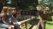 Fenja (9), Ben (9) und Marc (9) und ein Uhu.