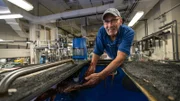 Danny Alexander, Senior Aquarist at Tennessee Aquarium demonstrates the strength and flexibility of an octopus.