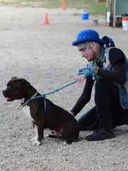 Dogs getting ready for dog bowl.
