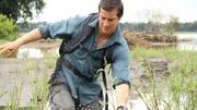 Bear Grylls wades through river in Zambia.