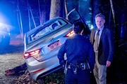 Bill Pullman (Det. Harry Ambrose).