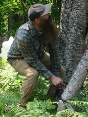 Matt sawing down a tree.