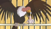 Der verletzte Kondor 5;
