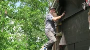 Matt steht auf einer Leiter und verkleidet eine Wand.