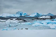 MDR FERNSEHEN THOMAS JUNKER UNTERWEGS - TIEF IM SÜDEN, am Samstag um 20:15 Uhr. Impressionen von der Küste der Antarktis (Antarktische Halbinsel) in Höhe des Polarkreises (Foto für alle Teile verwendbar)