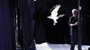 Photo of the owl flying through the poles in light first.