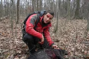 Bear with pig kill