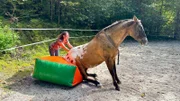 Monika gibt ihrem Appaloosa "Feivel" einen Ruck (Monika Hannawacker).