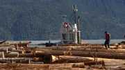 With a goose causing problems with loading the log barge, Owner Jared Douglas inspects the pile-up.