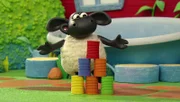 Timmy