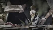 Der Forscher Assien Bohmer versuchte zu belegen, dass die ersten intelligenten Entwicklungslinien des Menschen arischer Abstammung waren.