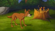 Hund Knickohr ärgert sich über Rabe Krickrack und dessen Schergen.