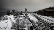 Long lines of snow covered train cars wait to be moved following a surprise snow storm. A lone walker follows the trail through Myrtle Edwards Park in Seattle.