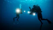 divers in the water looking for Mako.