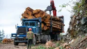 Loader is placing a log on the fat truck as a safety person watches from the front of the truck