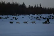 Tyler Selden runs dogsled team with Ashley and Sydney in sled.
