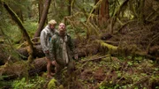 USA, Washington, Olympic National Forest, Cody Lundin and Dave Canterbury walking through Pacific Northwest rainforest during Dual Survivor filming