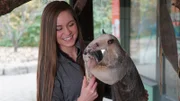 How do anteaters eat so many ants? A tamandua anteater from Cincinnati Zoo with its keeper Colleen Adams