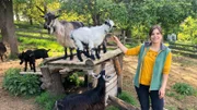 Anna verbringt ihren Sommer als Ziegenhirtin in Österreich.