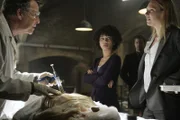 Die Suche nach der Ursache der seltsamen Vorfälle geht weiter: Olivia Dunham (Anna Torv, r.), Dr. Walter Bishop (John Noble, l.), Peter Bishop (Joshua Jackson, 2.v.r.) und Agent Astrid Farnsworth (Jasika Nicole, 2.v.l.) ...