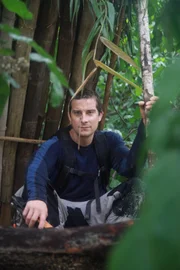 Bear Grylls