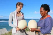 Die Eier des Elefantenvogels gelten als die größten Vogeleier der Welt. Der ausgestorbene Vogel gehört zu den Giganten, die auf Madagaskar einst zuhause waren.