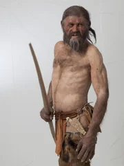 1991 entdeckten zwei Bergsteiger im Eis eine extrem gut erhaltene Mumie. Der 5300 Jahre alte Mann aus den Alpen wird auf den Namen Otzi getauft.