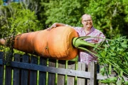 Mein leckerer Garten. Das eigene Gemüse anzupflanzen ist für drei Hobbygärtner und drei gärtnernde Landfrauen eine Leidenschaft. Über eine Gartensaison hinweg treten sie miteinander in einen freundschaftlichen Wettbewerb und Gartenexperte Michael Ernst gibt Tipps.