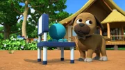 Interessiert sich Hund Strolch etwa für das Spielzeug der Kinder?