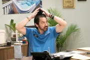 Vic (Ray Romano)