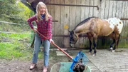 Nina mistet den Offenstall der Appaloosas aus.