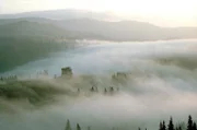 Nebel am Prisloppaß, Maramuresch.