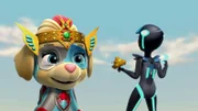 PAW Patrol Bildtext: Paw patrol.