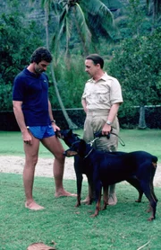 Die beiden Dobermänner Zeus und Apollo kann Magnum (Tom Selleck, l.) nicht besonders leiden. Schon gar nicht nachdem er erfährt, dass Jonathan Higgins (John Hillerman, r.) die beiden Hunde auf ihn abgerichtet hat ...