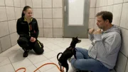 Pinscher Dame Püppi aus dem Tierheim Wiehl ist nach der Entfernung eines Tumors an der Gesäugeleiste bereit für eine Vermittlung. Zusammen mit Martin Rütter erhält Püppi Besuch von zwei Damen, deren Schicksal eng mit dem von Püppi verbunden ist.