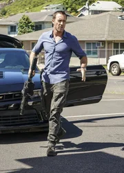 Steve McGarrett (Alex O'Loughlin)