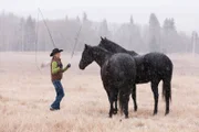 Amy Fleming (Amber Marshall)