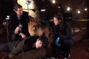 L-R: Charlie Hudson (John Reardon), Rex (Diesel vom Burgimwald), Jay Tomlinson (Jeff Sullivan), Sarah Truong (Mayko Nguyen)