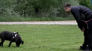 S7F63: Marcel möchte seiner achtjährigen Hundedame Nelly das Apportieren beibringen. Doch die Trainings-Challenge droht zu scheitern.