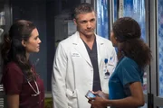 "Natural History" Episode 202 -- Pictured: (l-r) Torrey DeVitto as Natalie Manning, Jeff Hephner as Jeff Clarke, Yaya DaCosta as April Sexton --