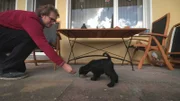 Benjamin Kühn mit Zwergschnautzer-Welpe Isa.