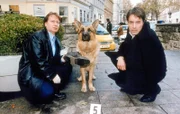 "Kommissar Rex", "Ein Toter kehrt zurück." Ein Mann bricht in der Nacht in eine Kirche ein und steigt in die Katakomben hinunter. Zunächst bemerkt er nicht, dass er dabei von einem anderen beobachtet und verfolgt wird. Als ihn der Verfolger stellt, kann der Einbrecher zunächst flüchten und seinen Gegner aus dem Hinterhalt erschießen. Die Tatwaffe führt Kommissar Brandtner auf die Spur eines Mannes, der angeblich in Brasilien ertrunken ist. Warum ist der scheinbar Tote nach Wien zurückgekehrt? Was hat er vor?Im Bild (v.li.): Heinz Weixelbraun (Christian Böck), Gedeon Burkhard (Alexander Brandtner).
