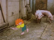 Pumuckl befreit die Ferkel.